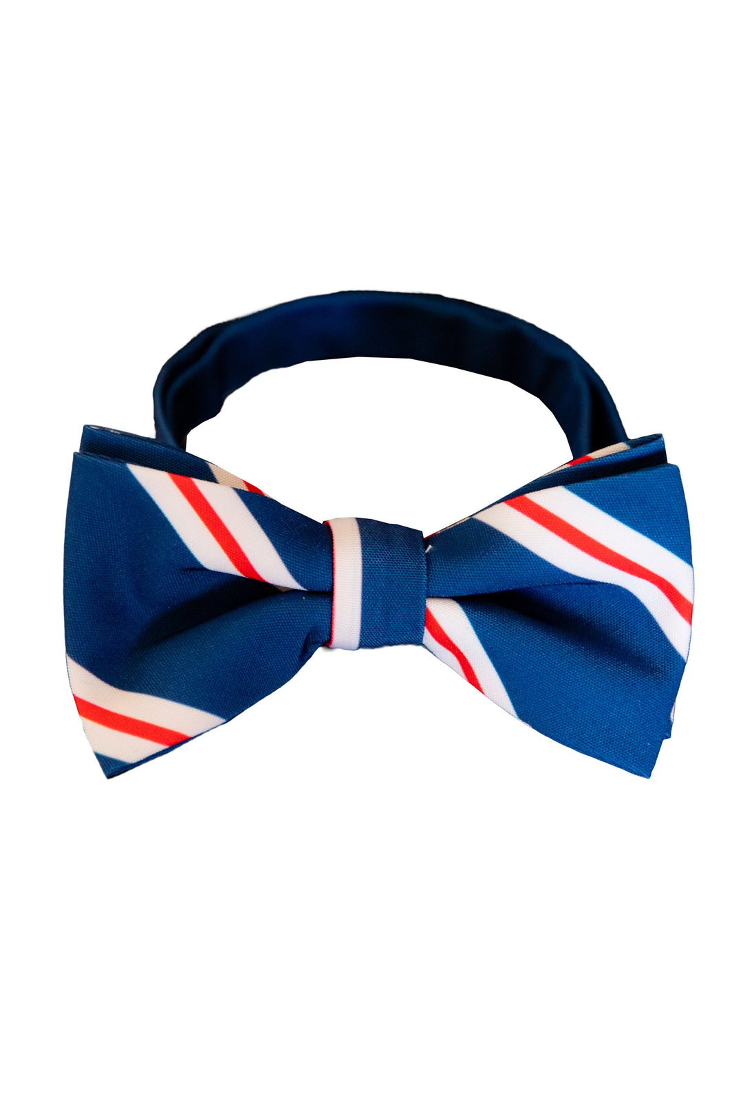 The Trust Funder | Bow Tie
