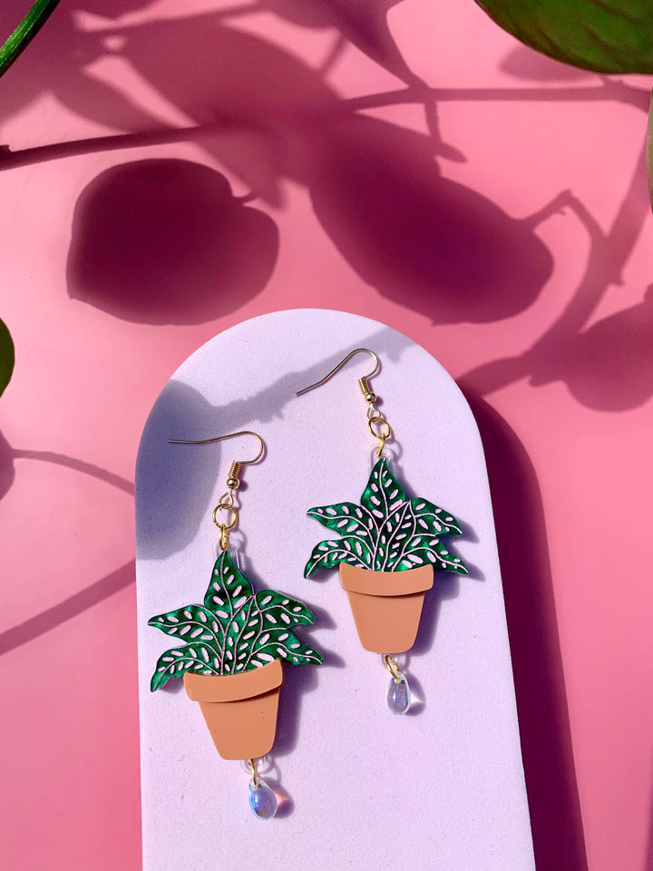 Terracotta Plants Acrylic Earrings