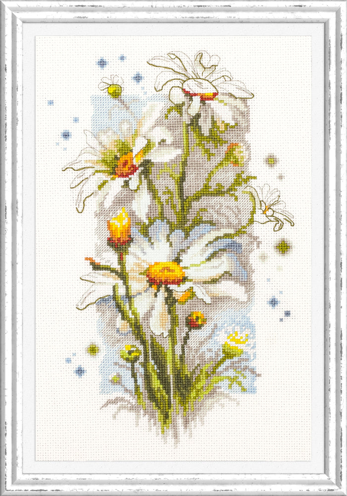 White Daisies 100-103 Counted Cross-Stitch Kit