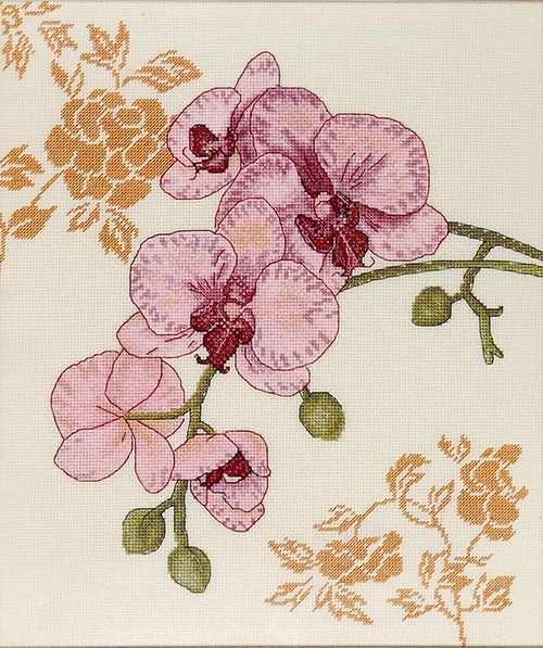 Orchid Counted cross stitch kit 1214A