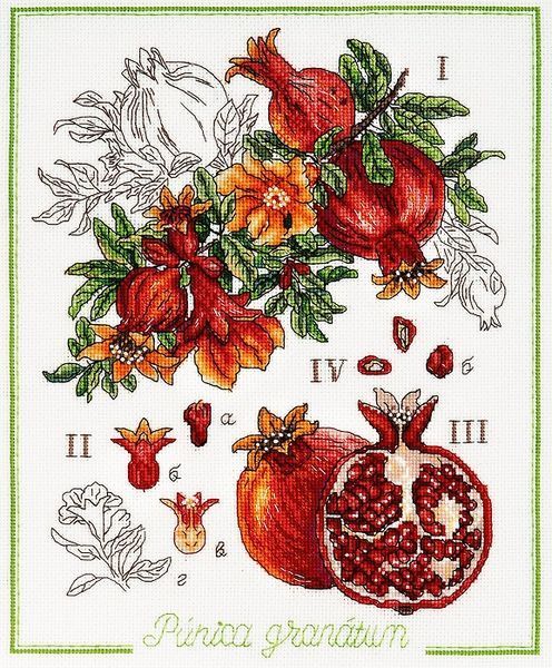 Botanical Battle - Pomegranate Counted cross stitch kit 1254A