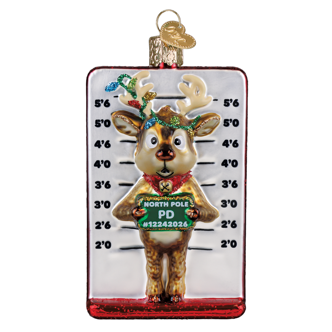 Reindeer Mugshot Ornament