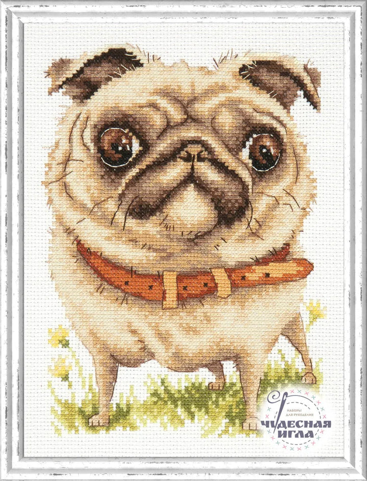 Pug-dog 16-17 Counted Cross-Stitch Kit