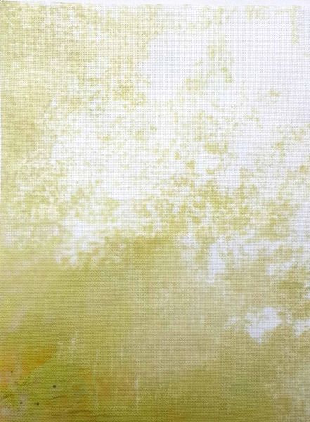 Sunlit Canopy Designer Printed AIDA Fabric. Canvas for embroidery with an applied background  KF-1133A