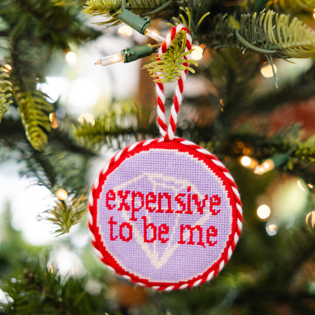 Needlepoint Ornament - Expensive To Be Me