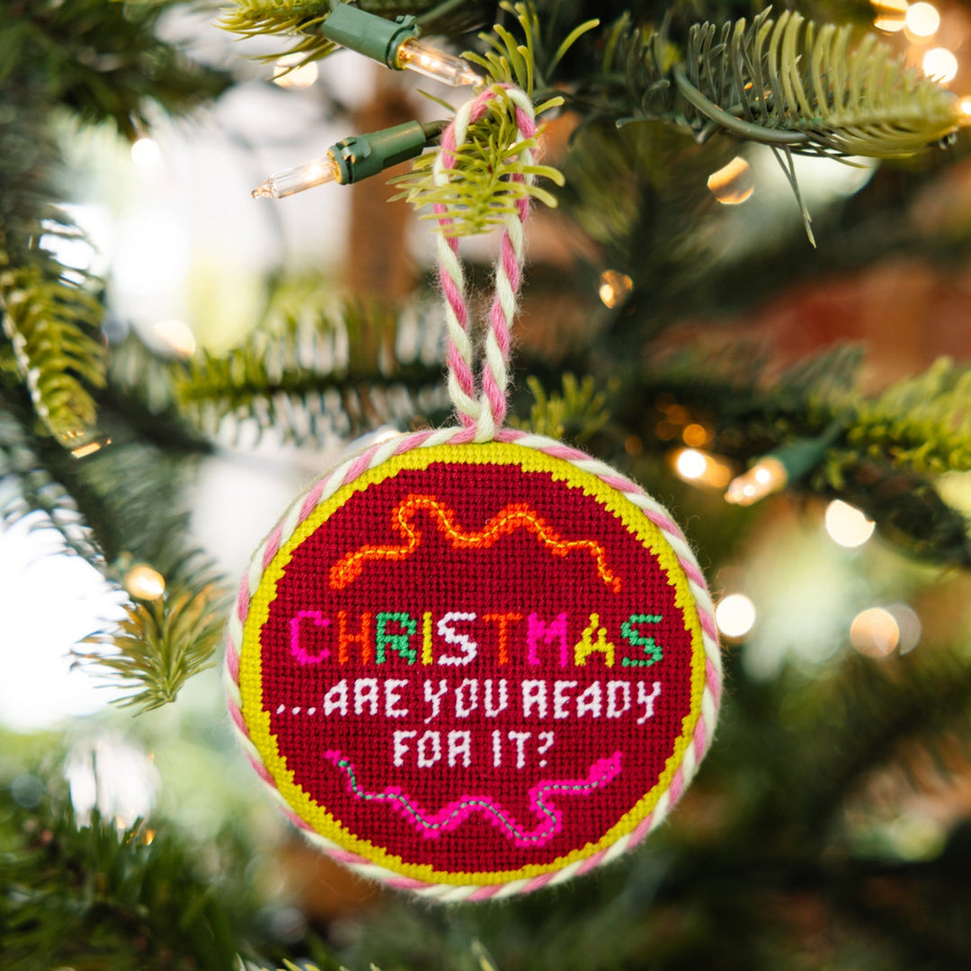 Needlepoint Ornament - Ready For It