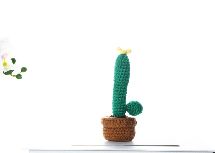 Cactus with Flowers. Potted Plant Amigurumi DIY Crochet Kit Wizardi F07N8-M18