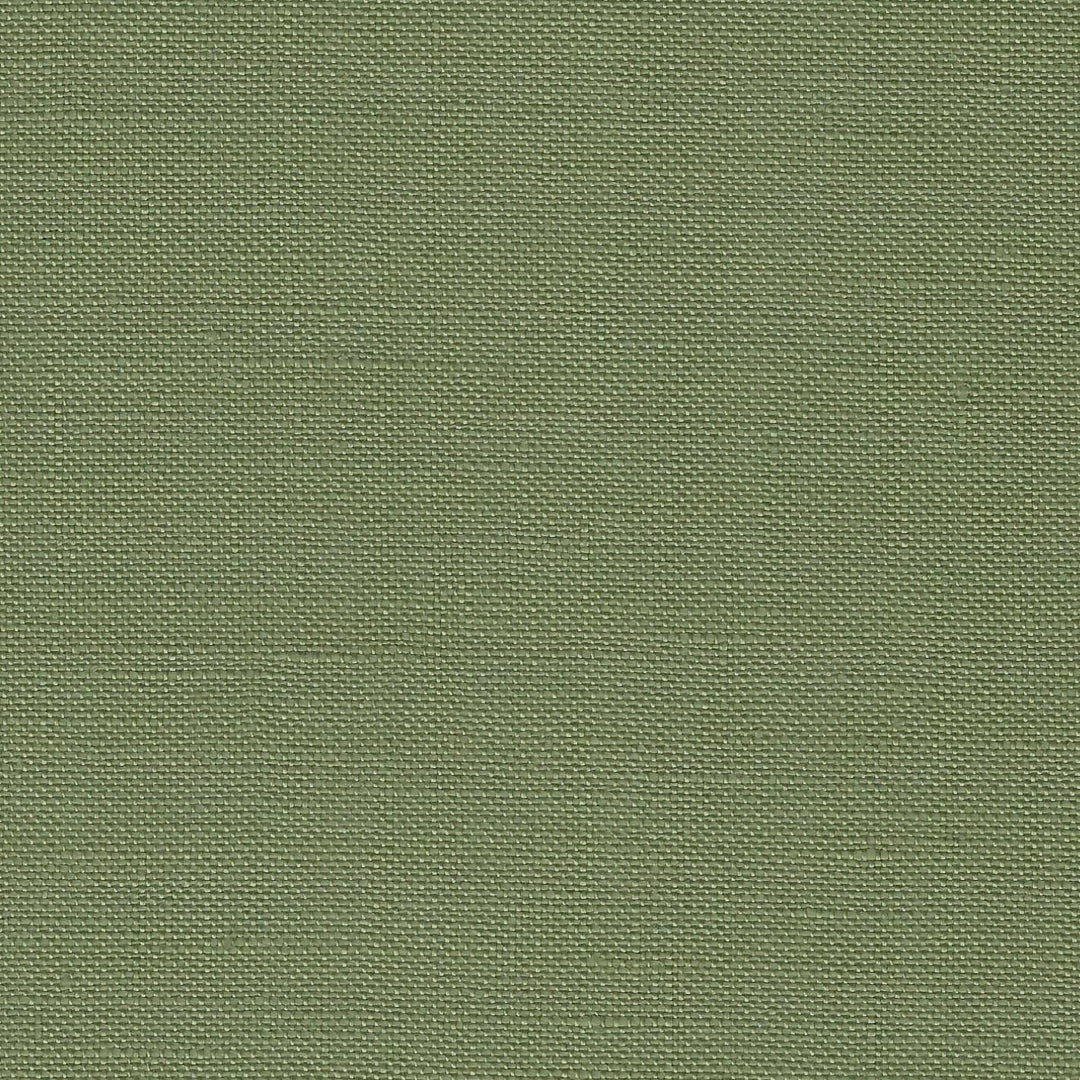 Precut Edinburgh  36 count Agave 3217/6018