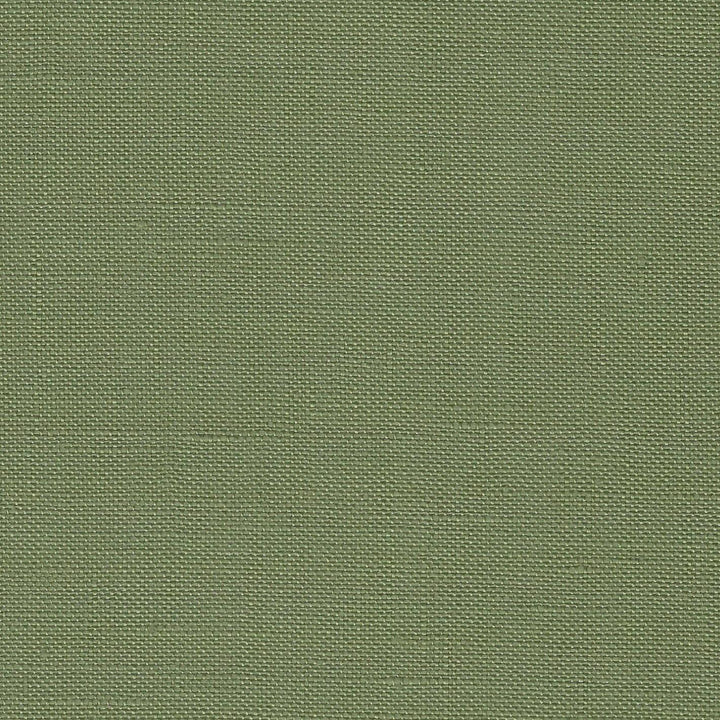 Precut Edinburgh  36 count Agave 3217/6018