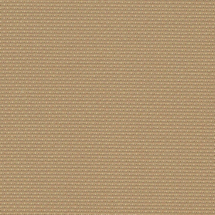 Precut Stern-Aida 14 count Dirty 3706/300