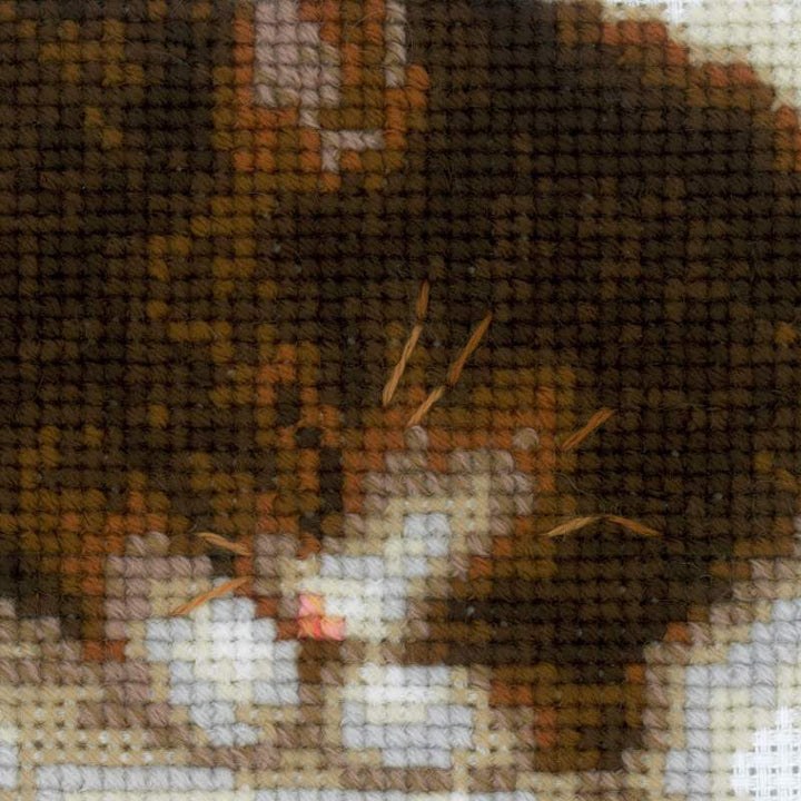 Kitten on the Book R1725 Counted Cross Stitch Kit