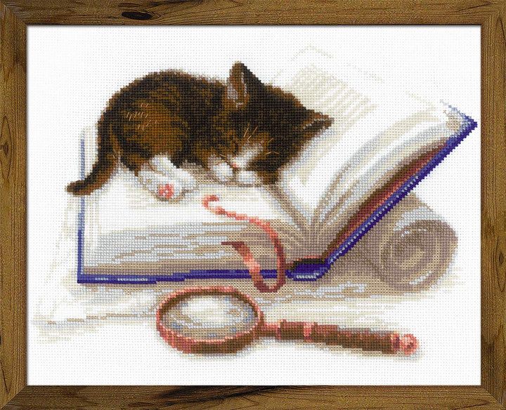 Kitten on the Book R1725 Counted Cross Stitch Kit