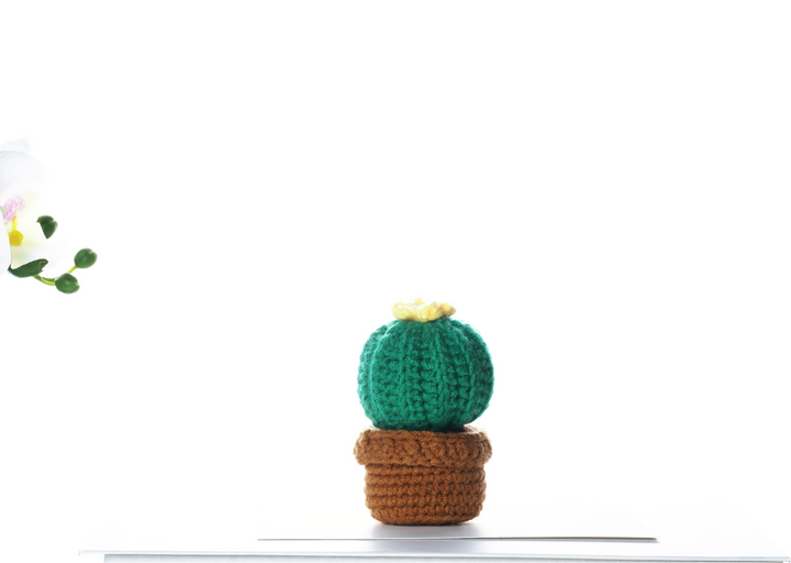 Cactus with Flowers. Potted Plant Amigurumi DIY Crochet Kit Wizardi F07N8-M18
