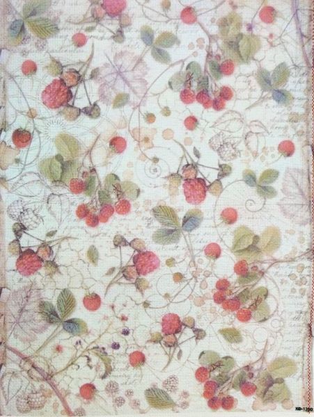 Wild Berry Vine Designer Printed AIDA Fabric. Canvas for embroidery with an applied background  KF-1260A