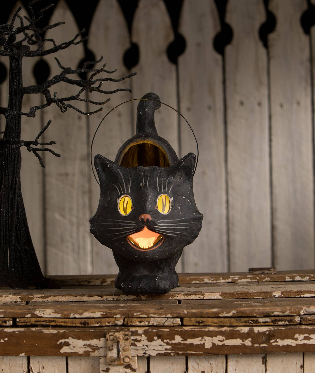 Scaredy Sassy Cat Bucket - LAST CHANCE!