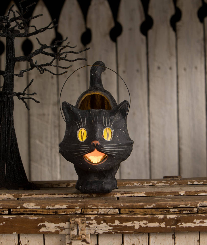 Scaredy Sassy Cat Bucket - LAST CHANCE!