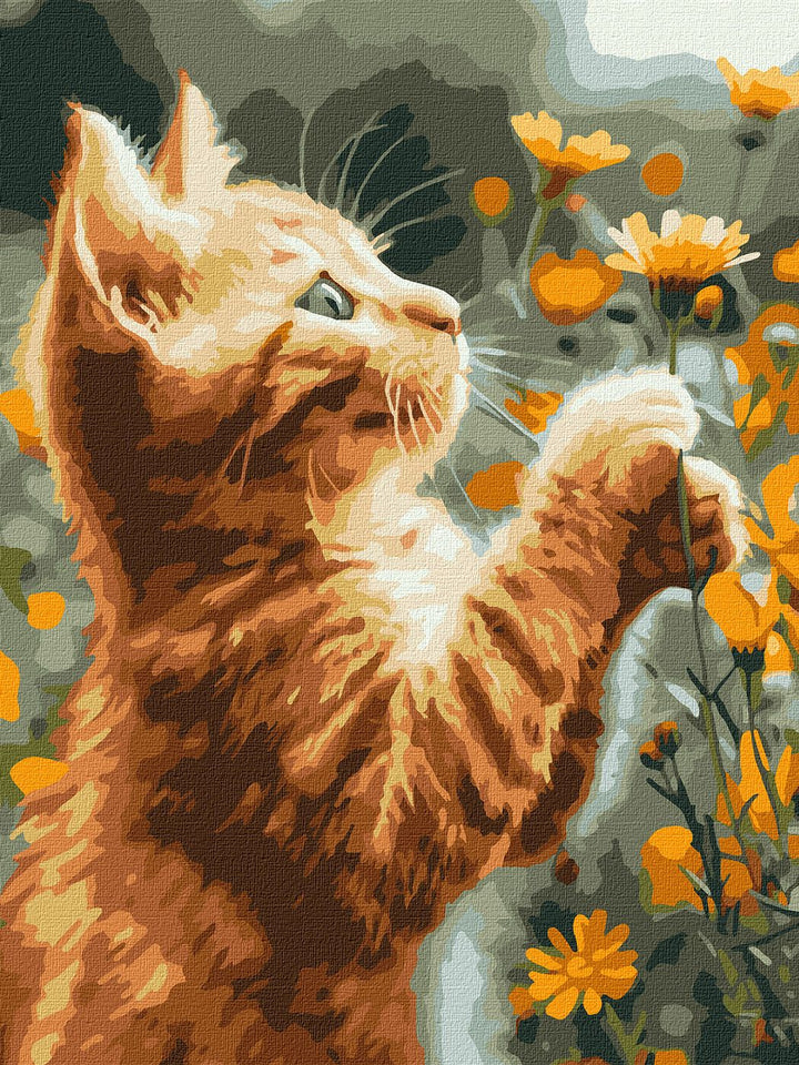 Painting by Numbers kit Red fluffy KHO6607