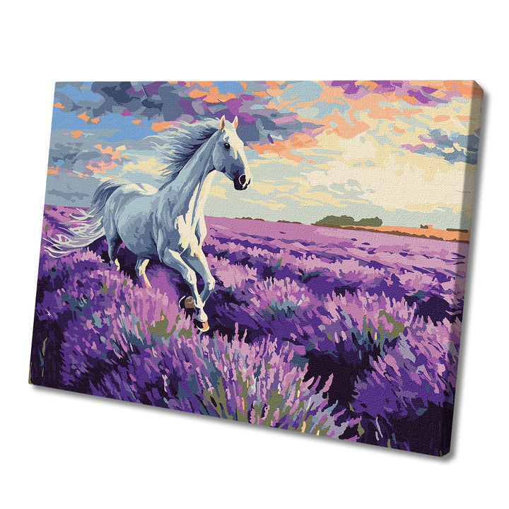Painting by Numbers kit In the lavender fields KHO6659