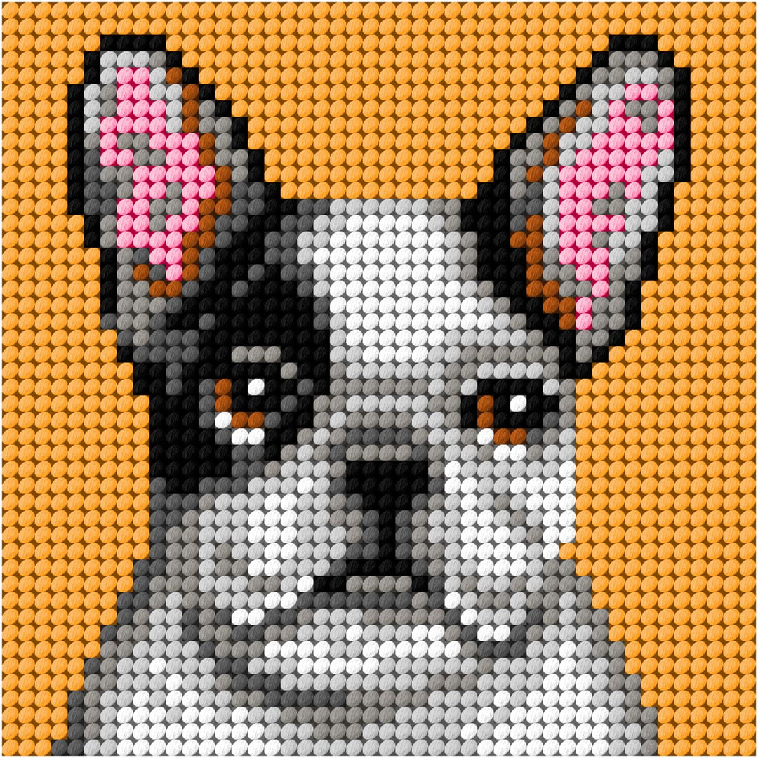 "My first embrodiery" kit. Nedlepoint (half stitich) kit  "Bulldog" 6764