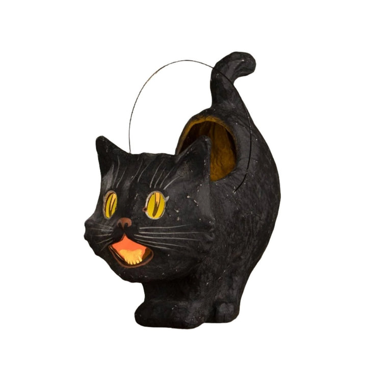 Scaredy Sassy Cat Bucket - LAST CHANCE!