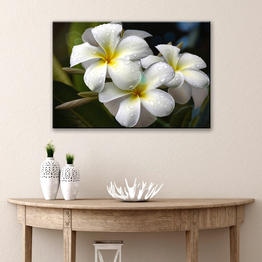 White Frangipani Flower Canvas Wall Art