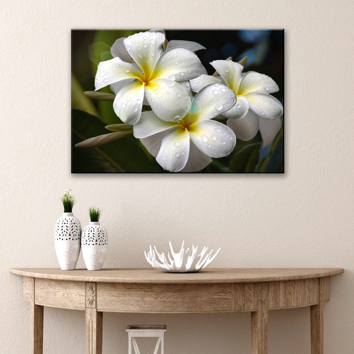 White Frangipani Flower Canvas Wall Art