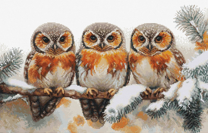 Owls in The Silence of Winter BU5077L Counted Cross-Stitch Kit