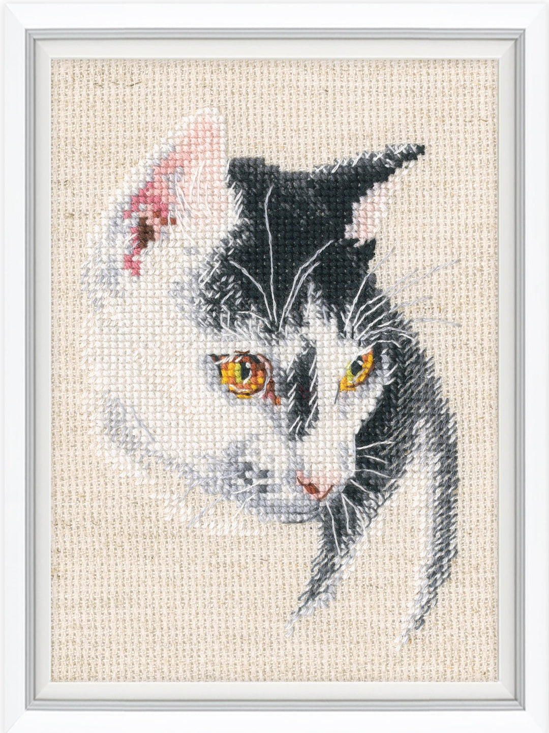Fascinating C423 Counted Cross Stitch Kit