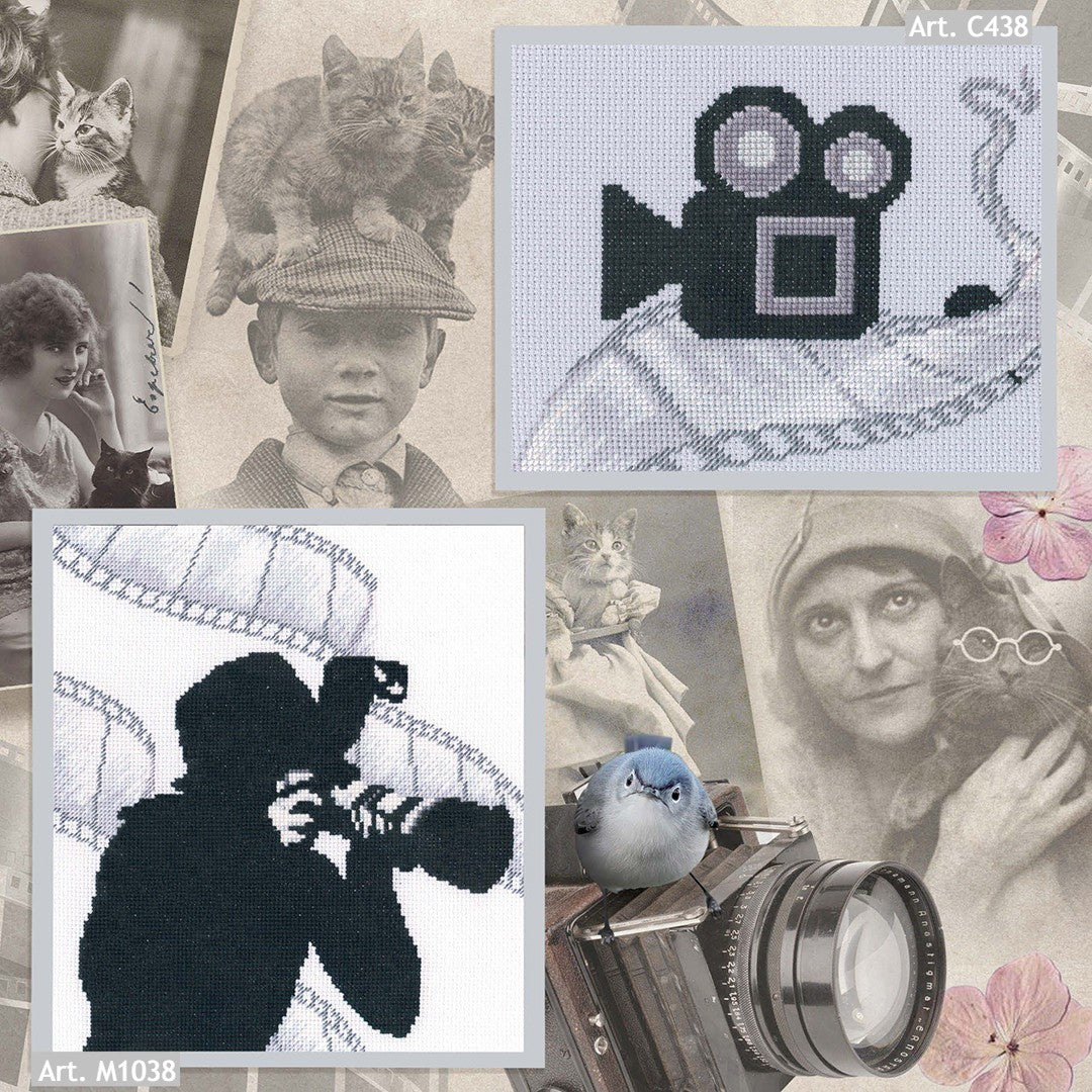 Stop-frame C438 Counted Cross Stitch Kit