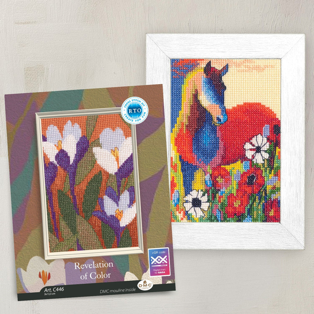 Revelation of Color Counted Cross Stitch Kit by RTO C447
