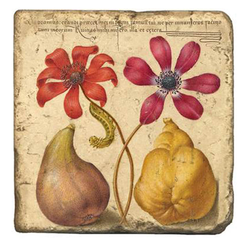 Joris Hoefnagel Coasters