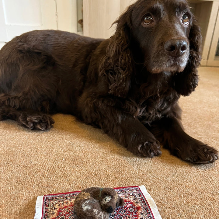 Felting Kit - Little Dog on Rug Needle Felt Kit