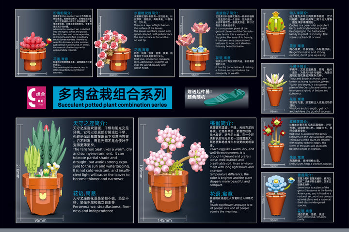 Succulents Building Brick Potted Plant Kit by Wizardi F07N11-10-1(118)