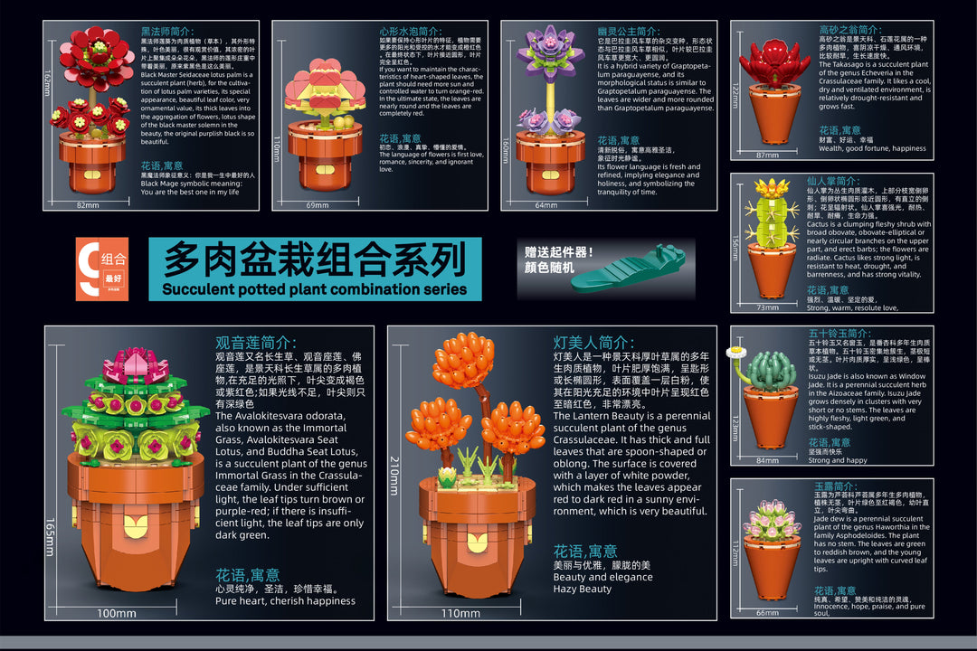 Succulents Building Brick Potted Plant Kit by Wizardi F07N11-13-4(118)