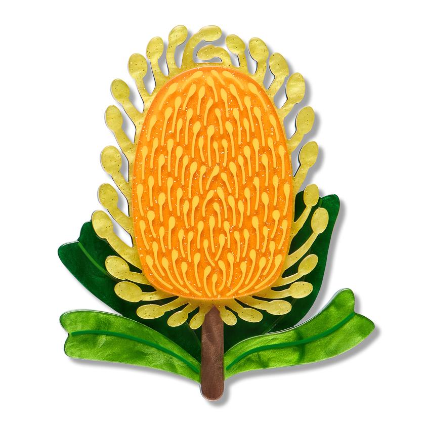 Mountain Banksia Brooch enamel brooch by Erstwilder x Royal Botanic Gardens Victoria – front view