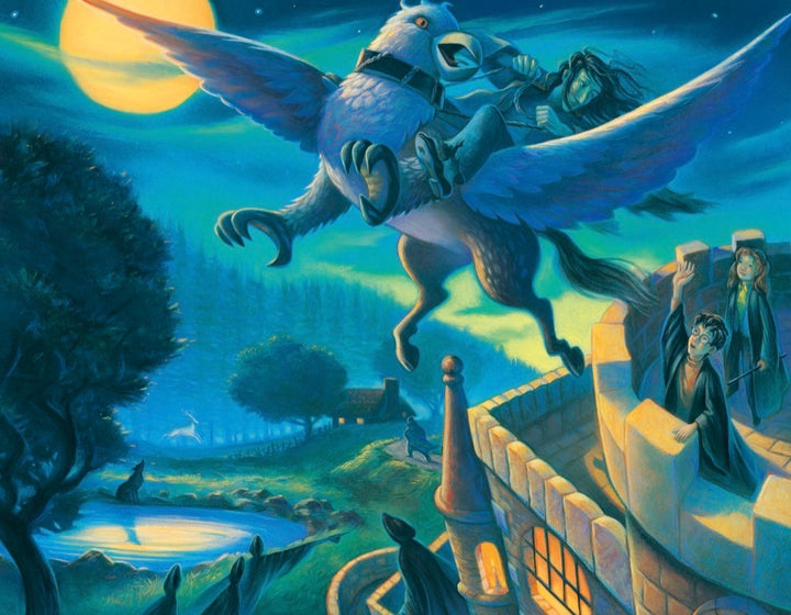 Rescue of Sirius Mini