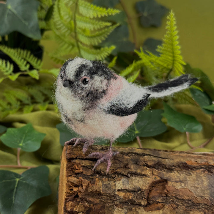 Felting Kit -  Long Tailed Tit Needle Felting Kit