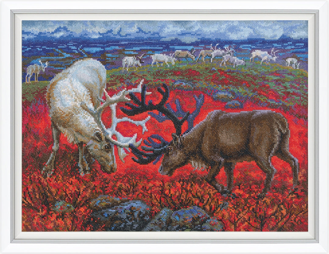 Law of the tundra M1014 Counted Cross Stitch Kit
