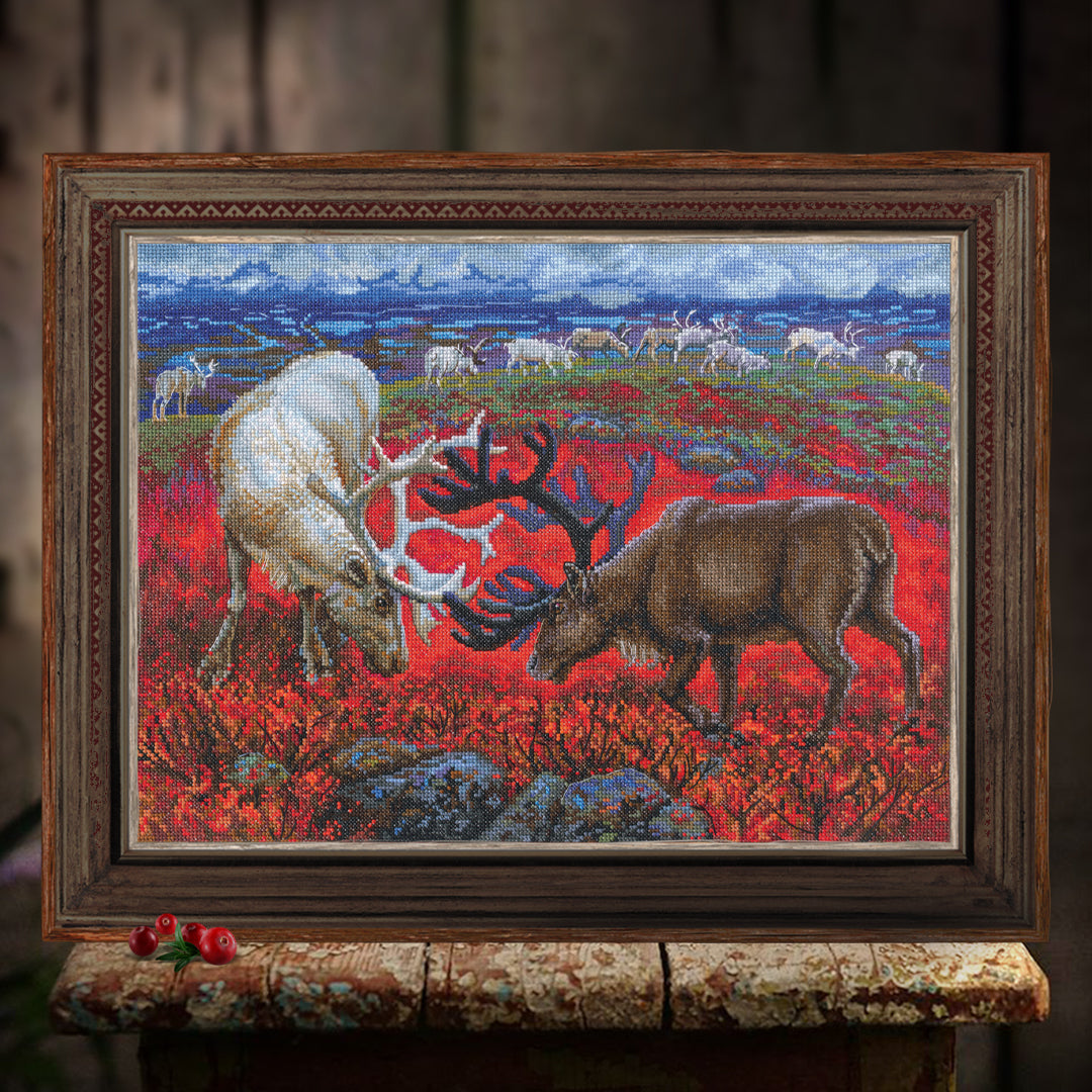 Law of the tundra M1014 Counted Cross Stitch Kit