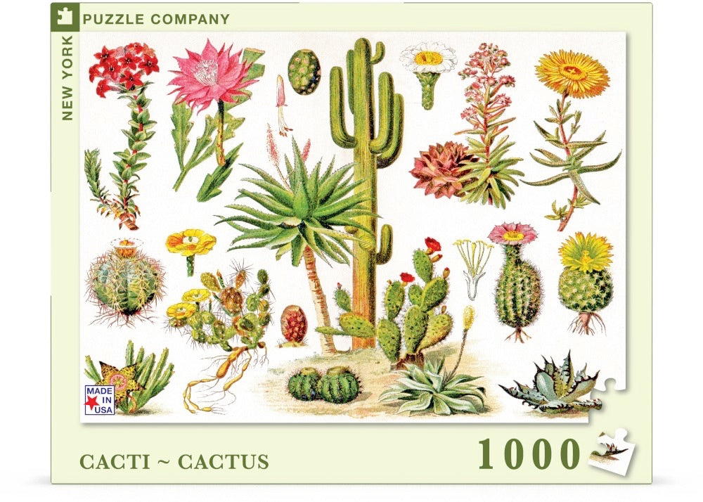 Cacti ~ Cactus