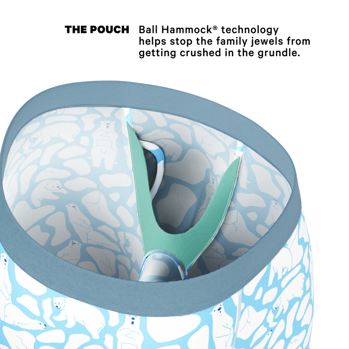 The Polar Polka | Polar Bear Scene Long Leg Ball Hammock® Pouch Underwear With Fly