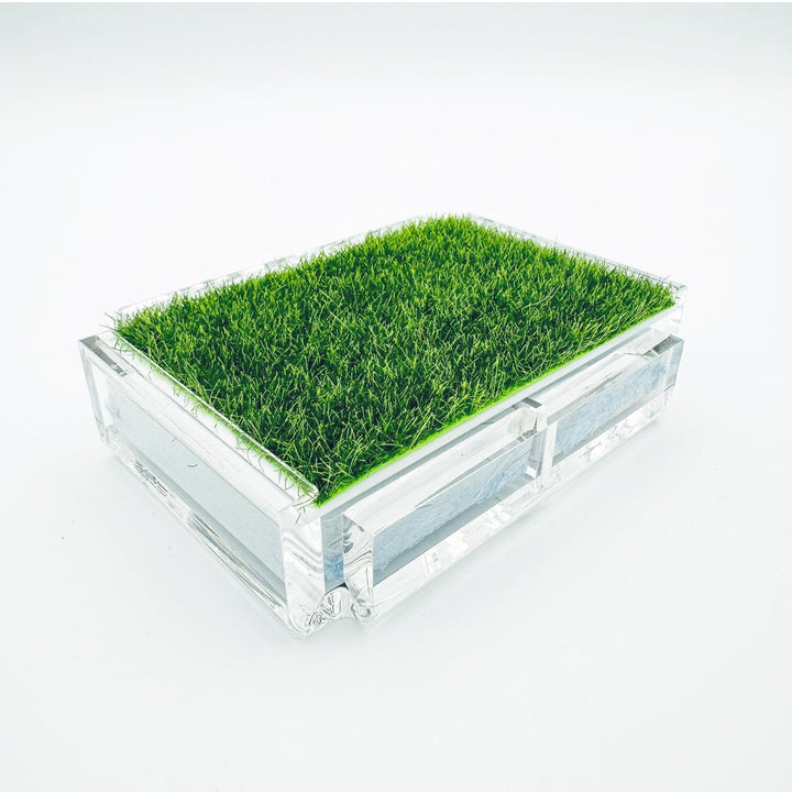 Playing Card Set with Putting Green Grass