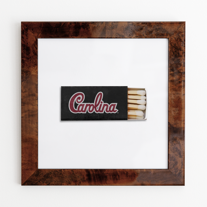 University of South Carolina Vol. 1