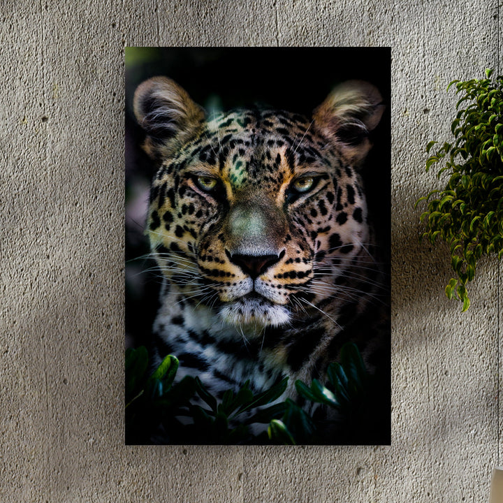Sneaky Jungle Leopard Portrait Canvas Wall Art