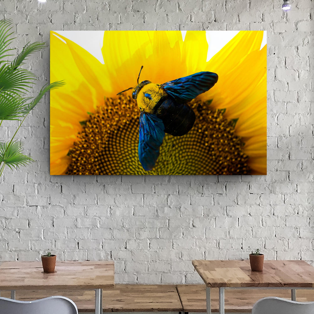 Bee Hoverfly Above A Sunflower Canvas Wall Art