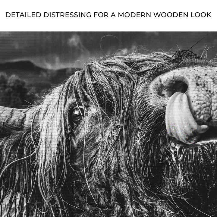 West Highland Cow Monochrome Canvas Wall Art