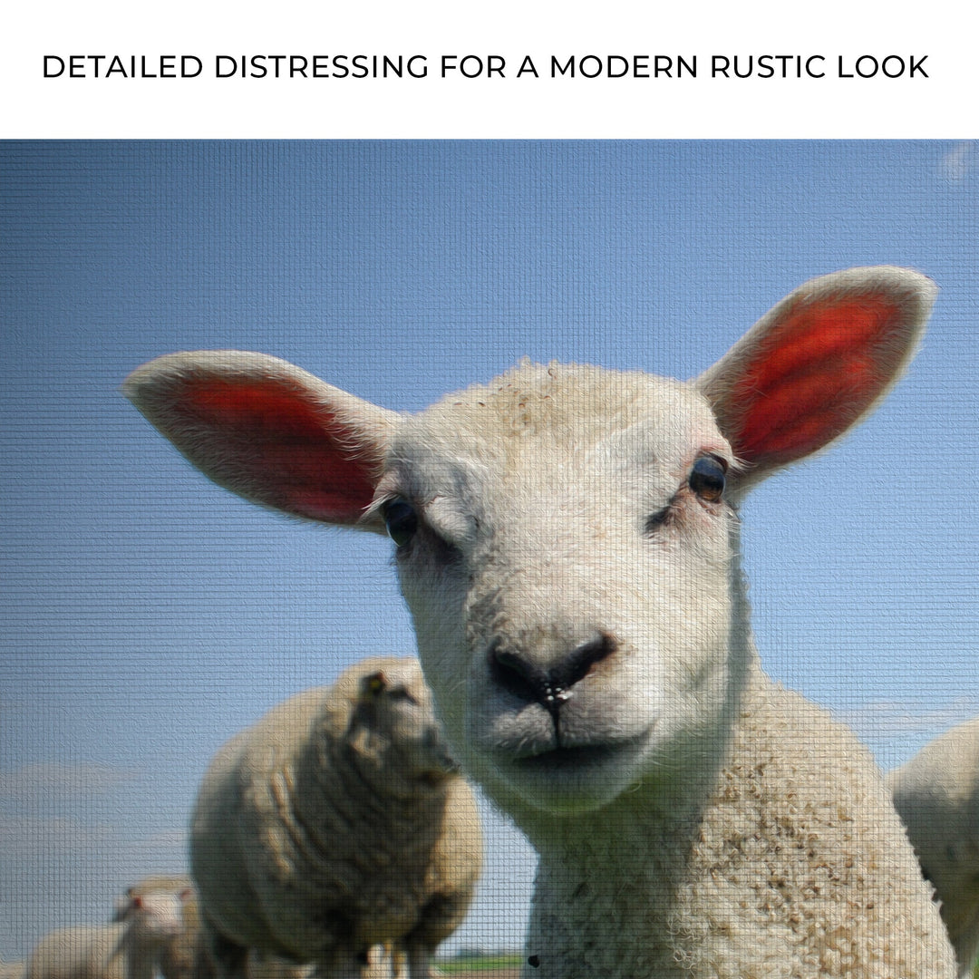 Curious Lamb Canvas Wall Art