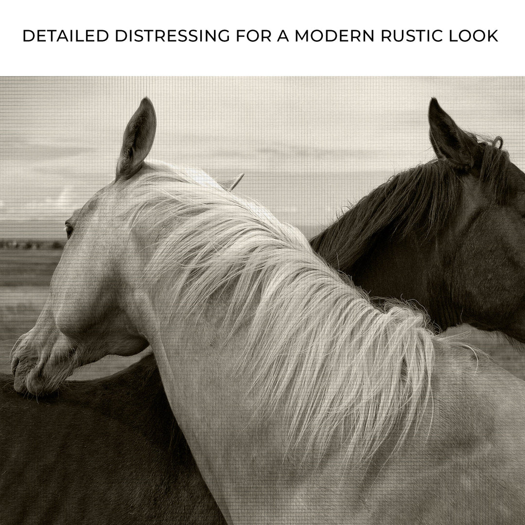 Monochrome Couple Horse Canvas Wall Art