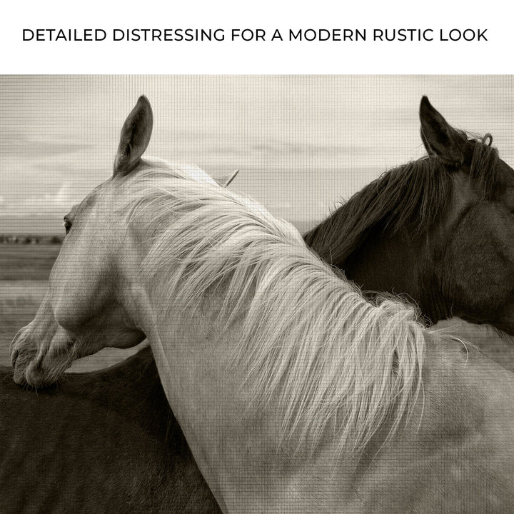 Monochrome Couple Horse Canvas Wall Art