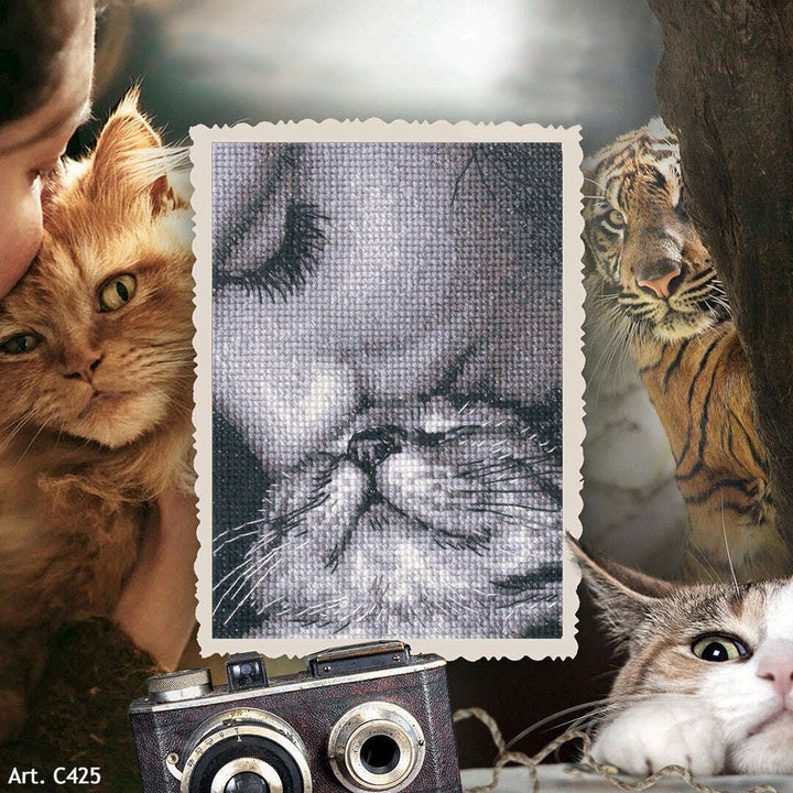 Admirers C425 Counted Cross Stitch Kit